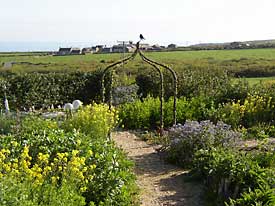 view of organic garden and herb garden at The Yew Tree Gallery