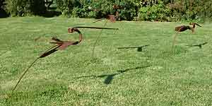 David Kemp ~ click for larger view