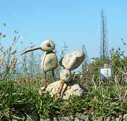 David Kemp ~ click for larger view