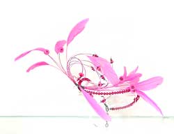 Kate Wilkinson ~ click for larger view